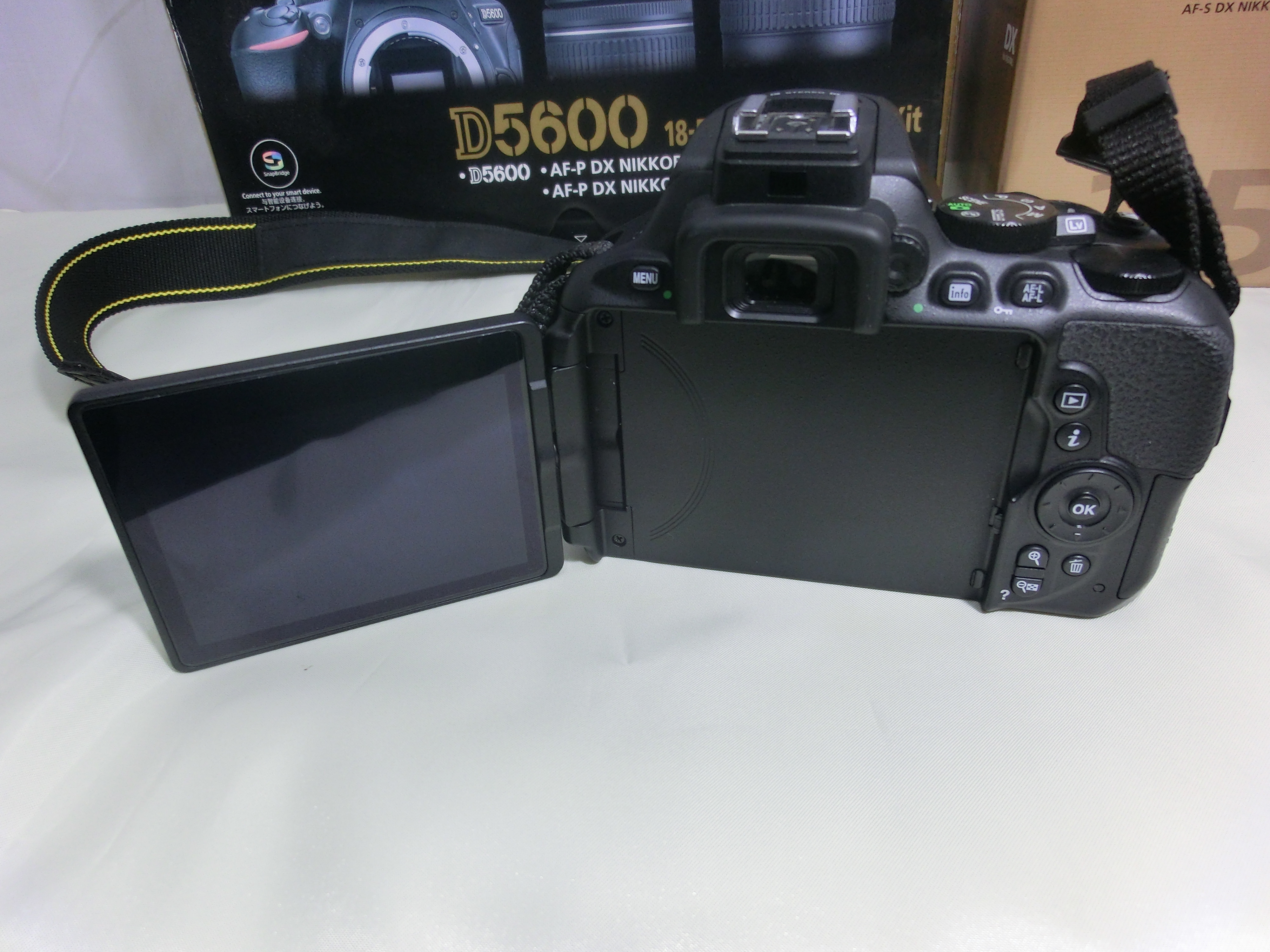 CIMG6900