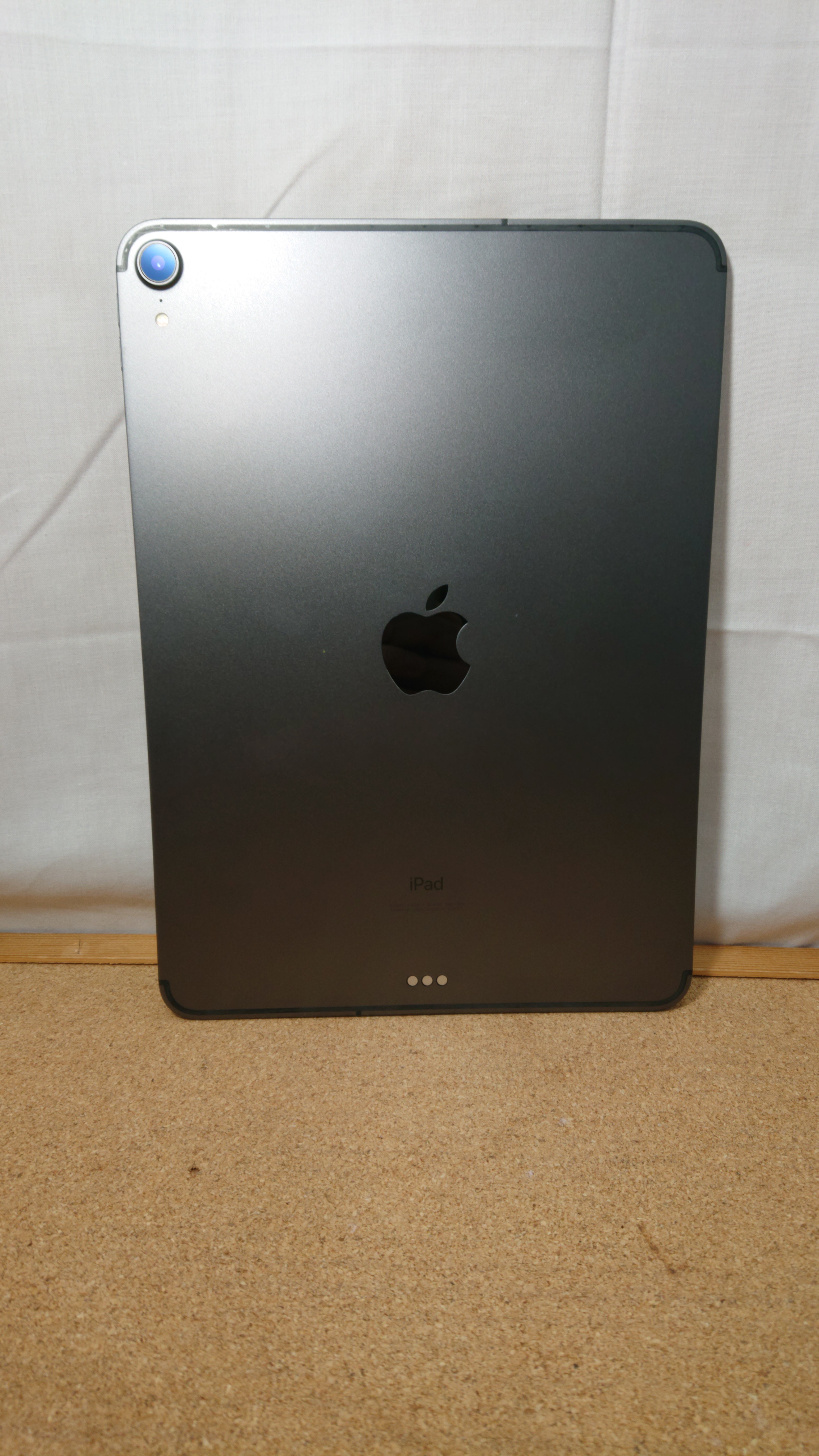 DSC_0000_BURST20260220115849588